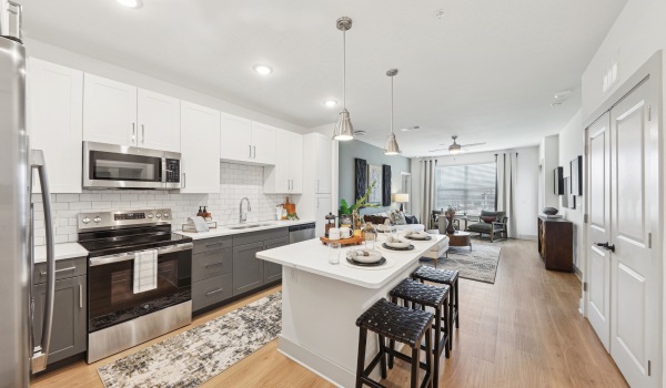 apartment kitchen and living